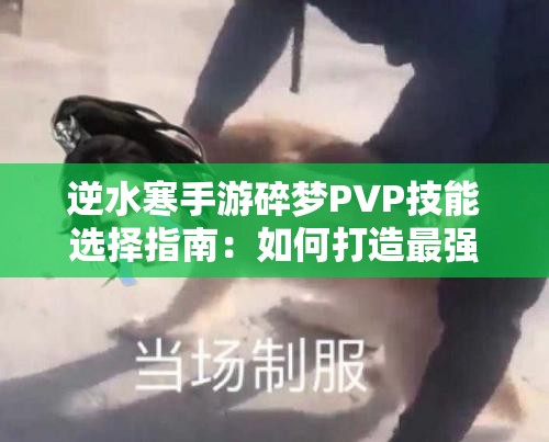 逆水寒手游碎梦PVP技能选择指南：如何打造最强战斗策略