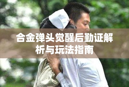 合金弹头觉醒后勤证解析与玩法指南